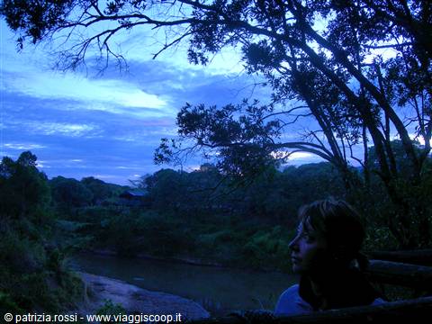 Alba africana