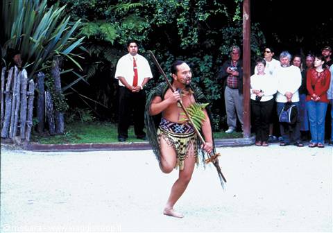 villaggio maori a rotorua