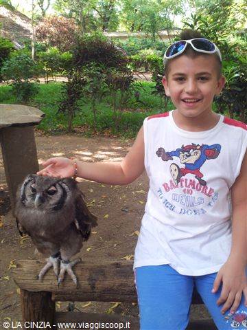 ANDREA ALLA FALCONERY DI MALINDI