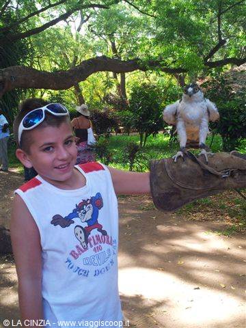 ANDREA ALLA FALCONERY A MALINDI
