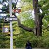 Central park STATI UNITI D'AMERICA 