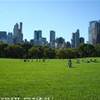 Central park STATI UNITI D'AMERICA 