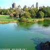 Central park STATI UNITI D'AMERICA 