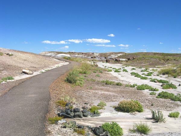 Petrified Forest National Park 