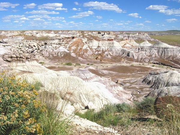 Painted Desert