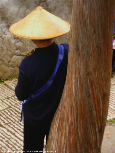 Kunming -foresta di pietra