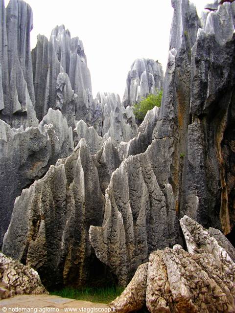 Kunming -foresta di pietra