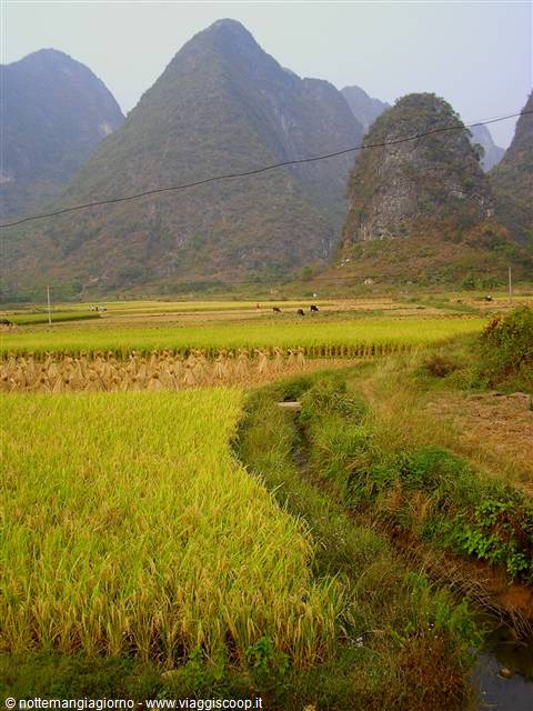 Yangshou