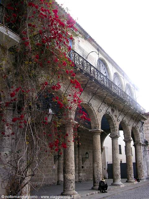 Habana