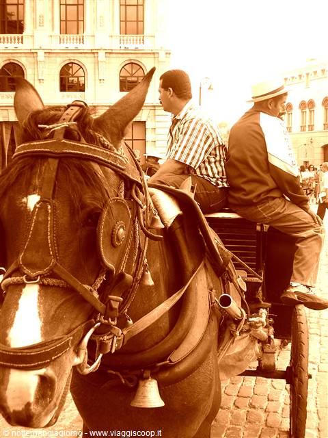 Habana