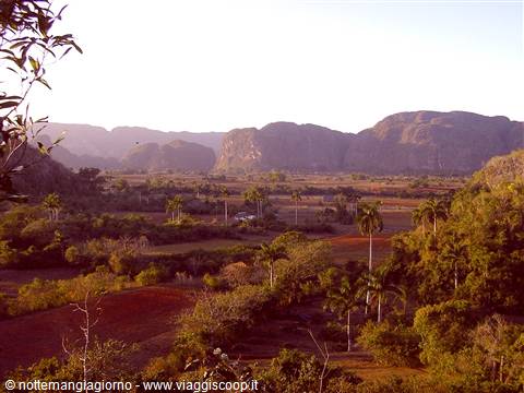 Vinales