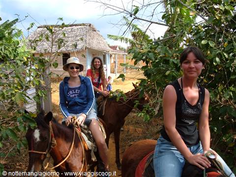 Vinales
