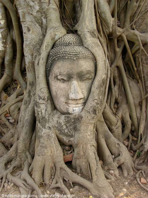 ayutthaya