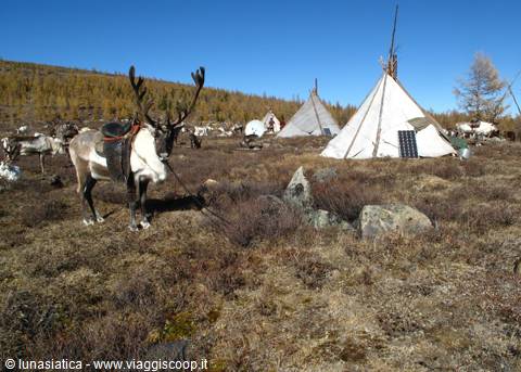tsaatan
