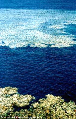 reef a Sharm el Sheikh