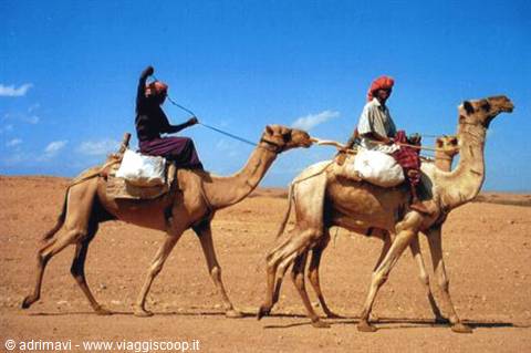 incontro sulla strada Asmara - Massawa