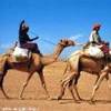 incontro sulla strada Asmara - Massawa ERITREA 