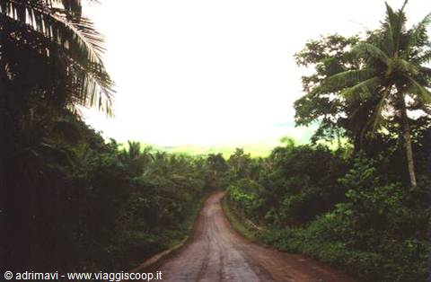 verso playa Rincon