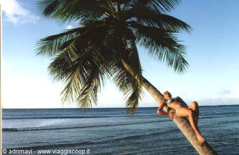 playa Las Terrenas
