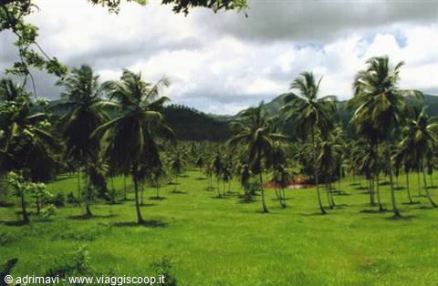 paesaggio dell'entroterra