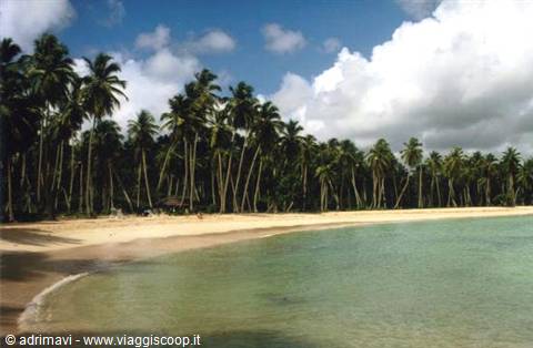 playa Rincon