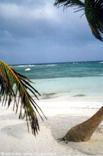 scorcio spiaggia di Akumal - riviera maya