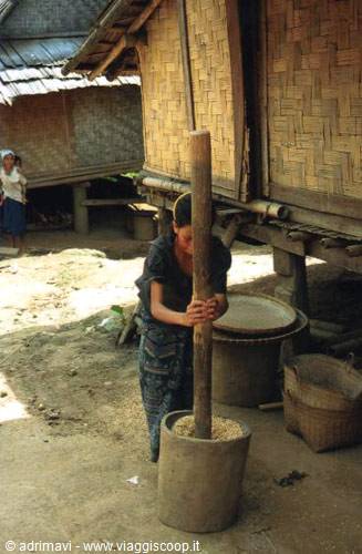 lavorazione del riso - Mekong
