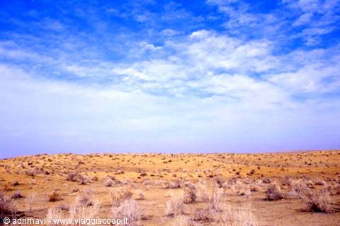 kizil-kum desert