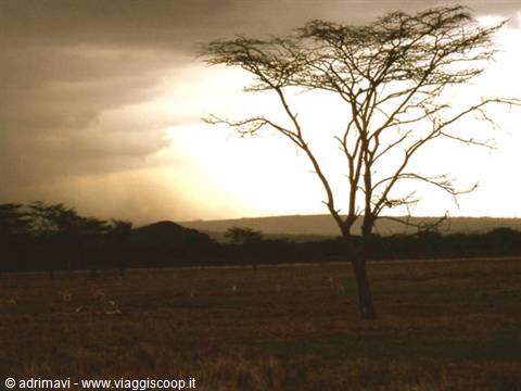 Nakuru National Park