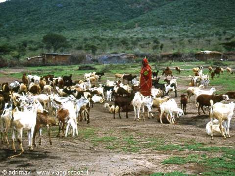 pastore masai
