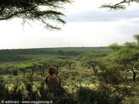 Lago Ndutu