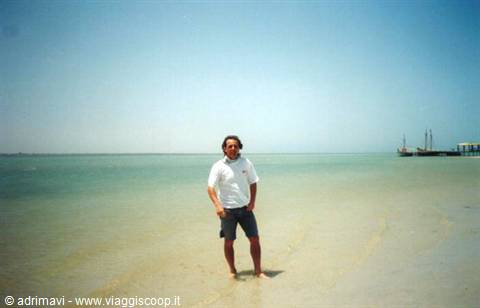 l'isola dei Fenicotteri - Djerba