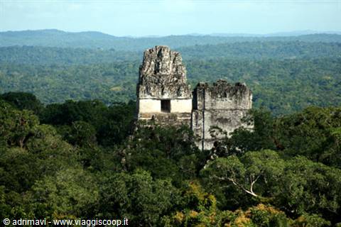 Tikal, templi