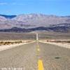 lungo la Death Valley STATI UNITI D'AMERICA 