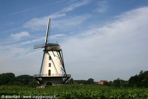 mulino