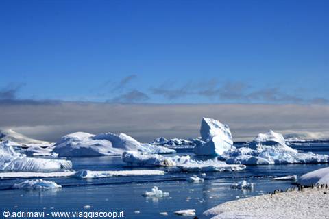cuverville island