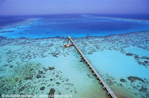 Vista dal Faro di Sanganeb