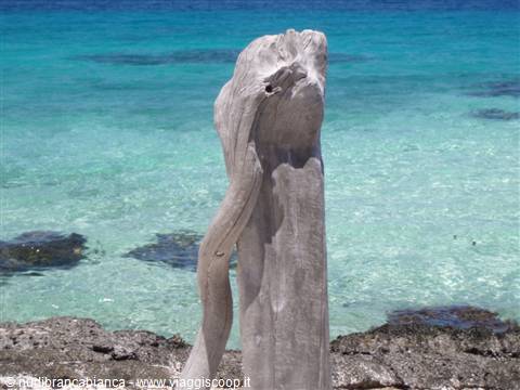 Rangiroa