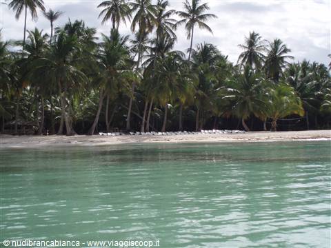 Isla Saona