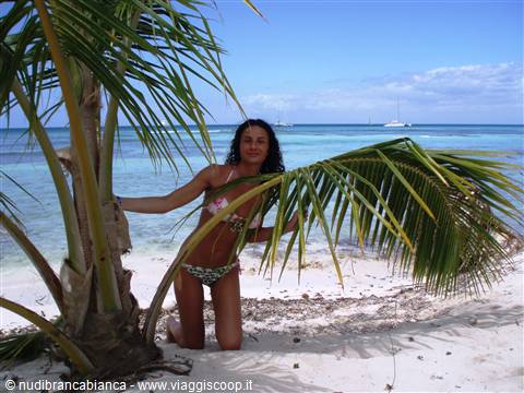 Isla Saona