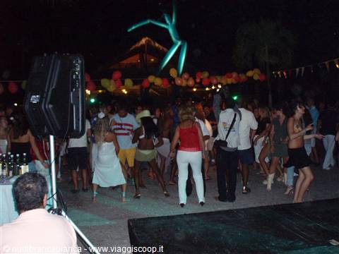 Viva Dominicus By Night