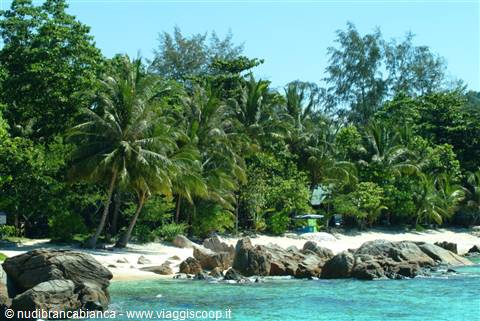 Spiaggia di fronte al Coral View Resort