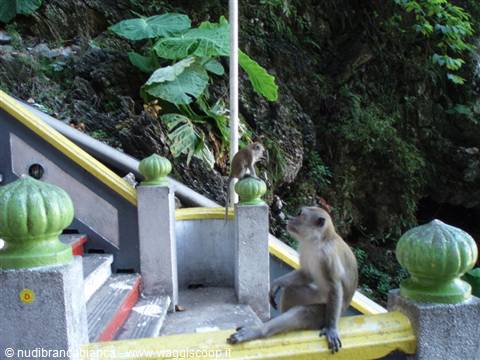 Batu Caves
