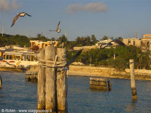 Parco del Garrafon - Isla de las mujeres