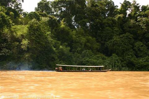 Taman Negara
