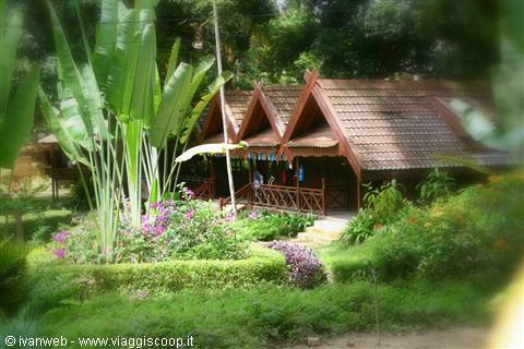 Taman Negara
