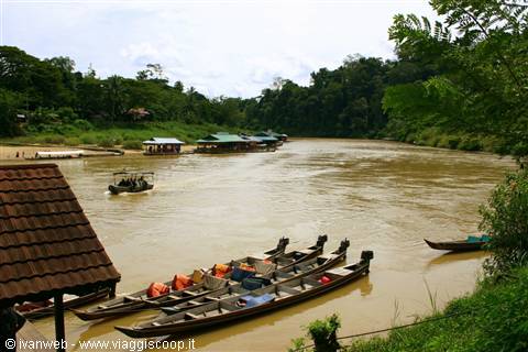 Taman Negara