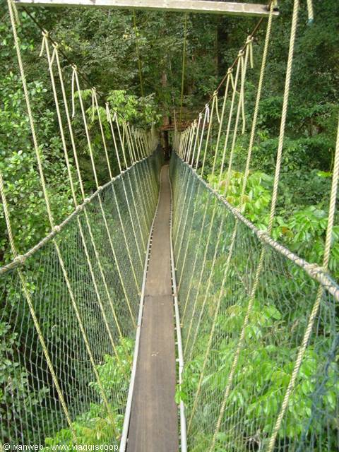 Taman Negara