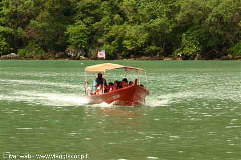 Island Hopping