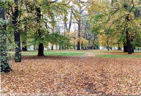 Parco sulla Moldava